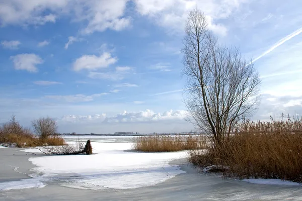 Paisaje de nieve en Holanda — Foto de Stock
