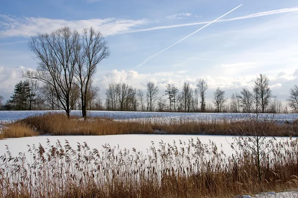 Sneeuwlandschap in Nederland — Stockfoto