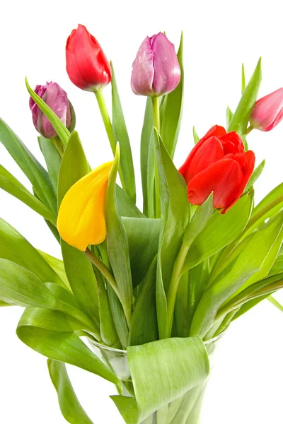 Kytice barevné Holandské tulipány — Stock fotografie