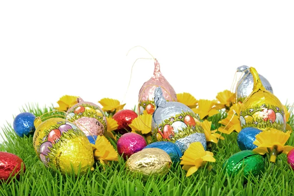 Chocolate easter eggs on grass — Stock Photo, Image