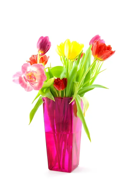 Tulpis em vaso rosa — Fotografia de Stock