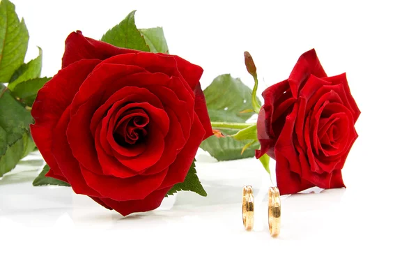 Duas rosas e anéis de casamento — Fotografia de Stock