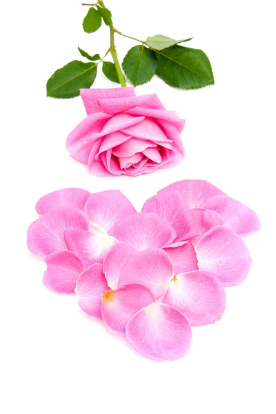 Coeur composé de feuilles de rose — Photo