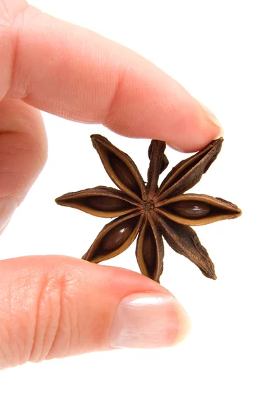 Hand is holding star anise in closeup — Stock Photo, Image