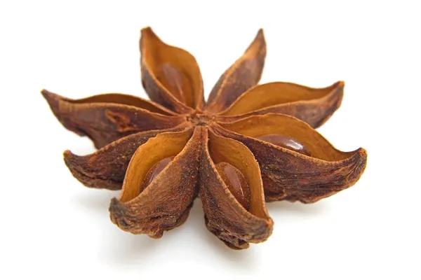 Star anise in closeup — Stock Photo, Image
