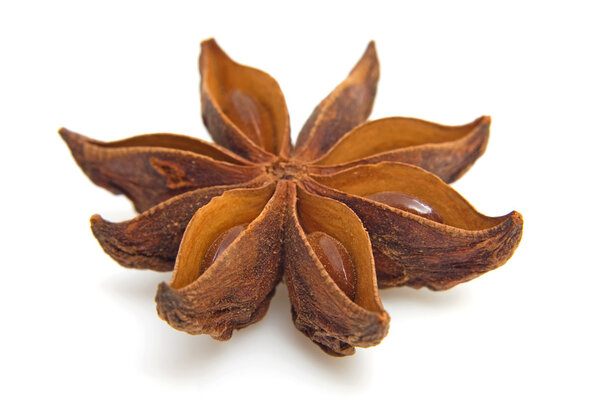 Star anise in closeup