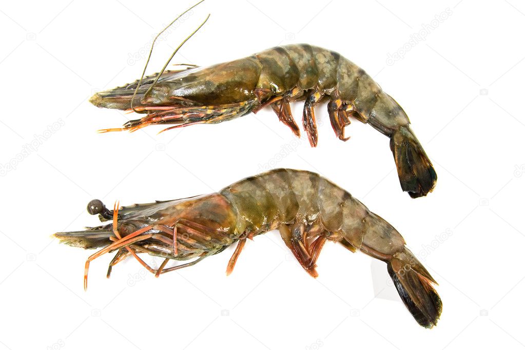 Two raw shrimp
