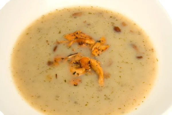 stock image Mushroom soup