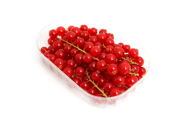 Plastic cup with red berries — Stock Photo, Image
