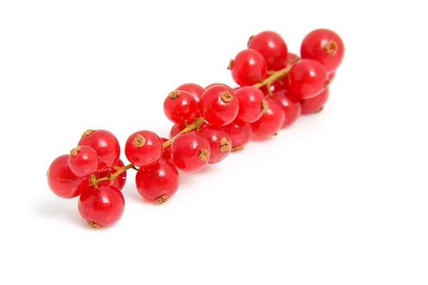 Cluster red berries in closeup — Stock Photo, Image