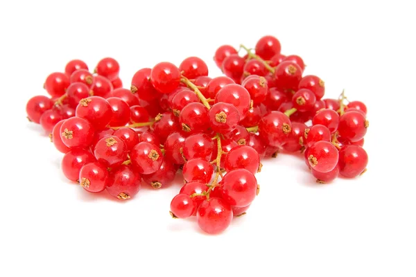 Cluster red berries in closeup — Stock Photo, Image