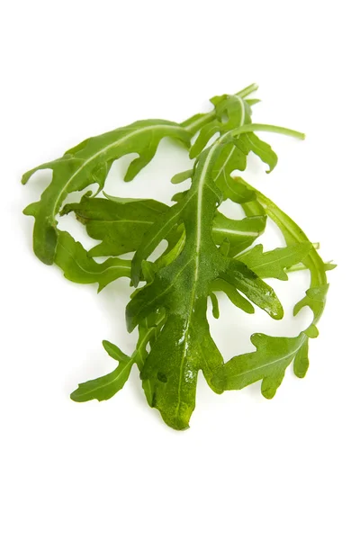 Listy salátu s čerstvou rukolou — Stock fotografie