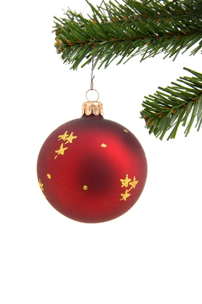 Röd jul boll i träd — Stockfoto
