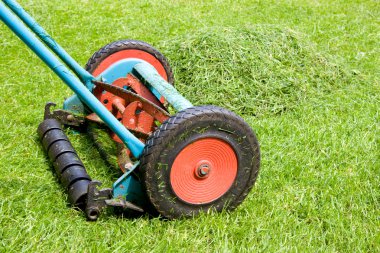 Mowing the lawn clipart