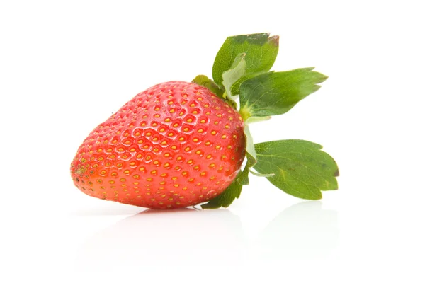 一个新鲜草莓 — 图库照片