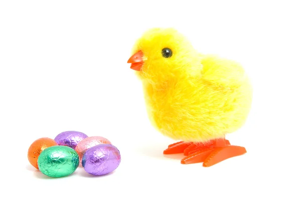 Uova con pollo piccolo — Foto Stock