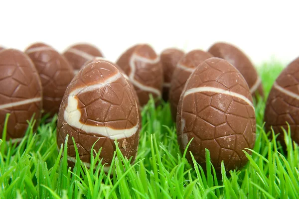 Chocolate easter eggs in grass — Stock Photo, Image