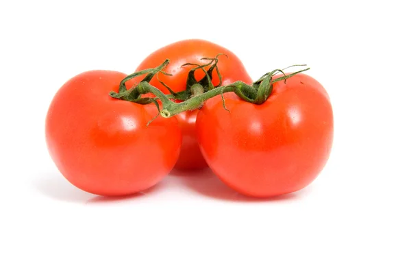 Tomates frescos para pulverização — Fotografia de Stock