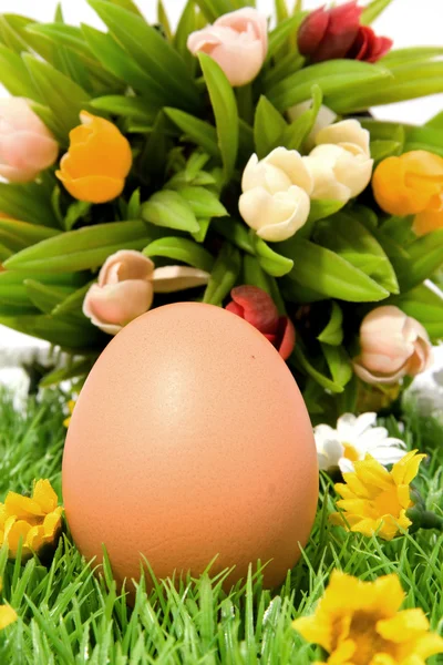 Egg and flowers — Stock Photo, Image