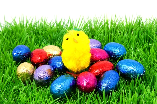 Uova di Pasqua e pollo sull'erba — Foto Stock