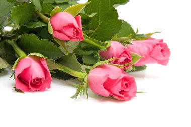 Bouquet of pink roses clipart