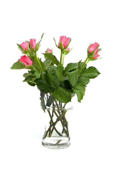Strauß rosa Rosen — Stockfoto