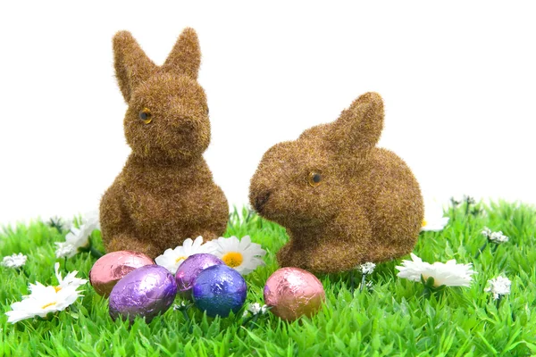 Easter bunnies on grass — Stock Photo, Image