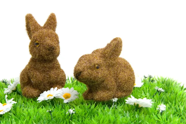 Easter bunnies on grass — Stock Photo, Image