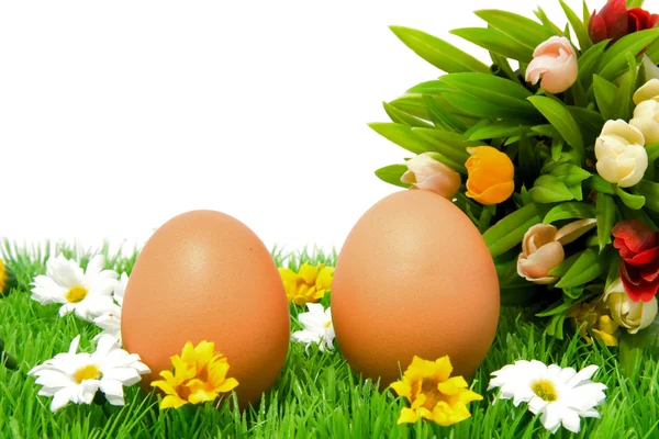 Dois ovos de galinha na grama com tulipas — Fotografia de Stock