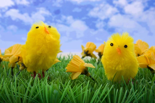 Zwei Osterhühner auf Gras und Blumen — Stockfoto