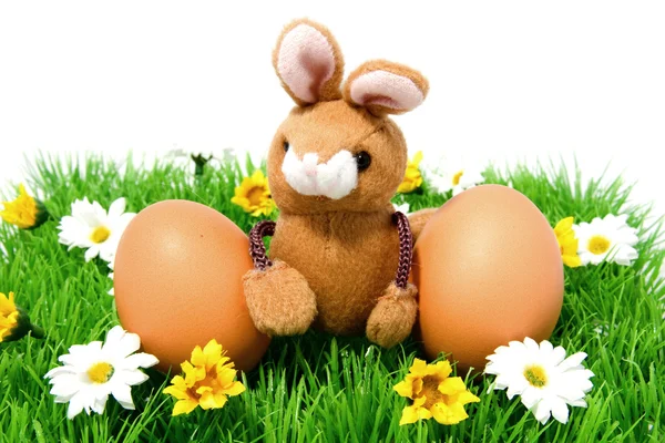 Пасхальний кролик з двома курячими яйцями — стокове фото