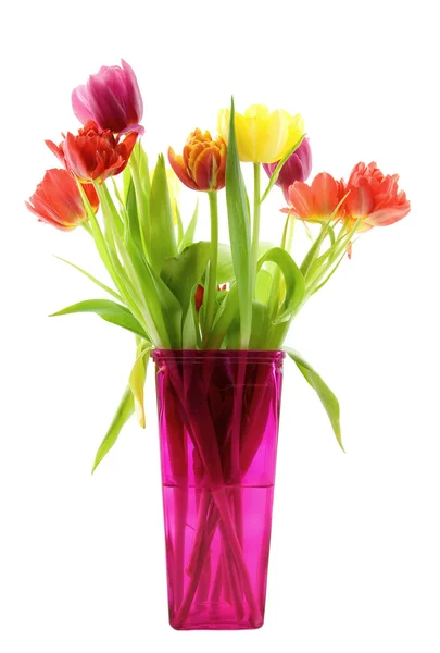 Tulipanes en un jarrón rosa —  Fotos de Stock