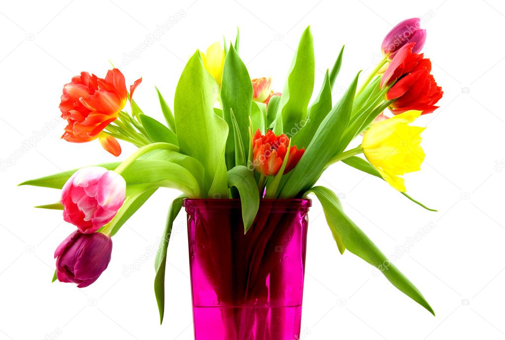 Tulips in a pink vase