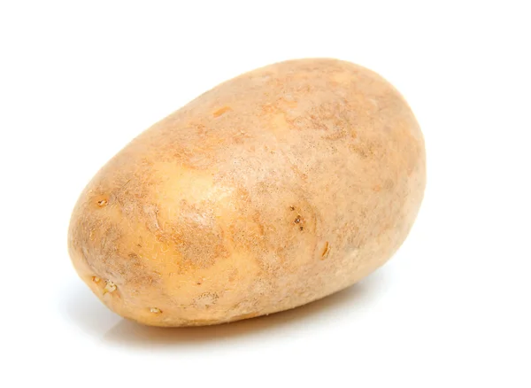 One unpeeled raw potato — Stock Photo, Image
