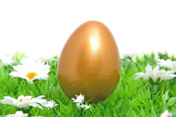 Çimenlerin üzerinde altın tavuk Paskalya yortusu yumurta — Stok fotoğraf