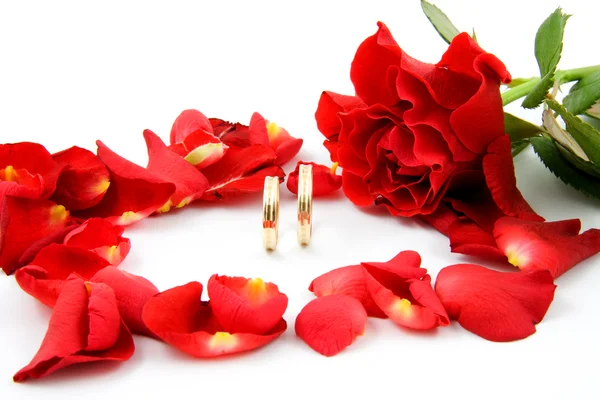 Roses and wedding rings — Stock Photo, Image