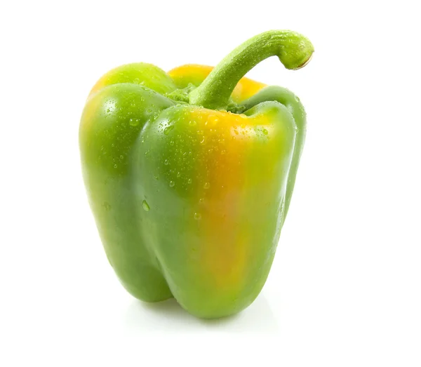 Fresh paprika with waterdrops — Stock Photo, Image