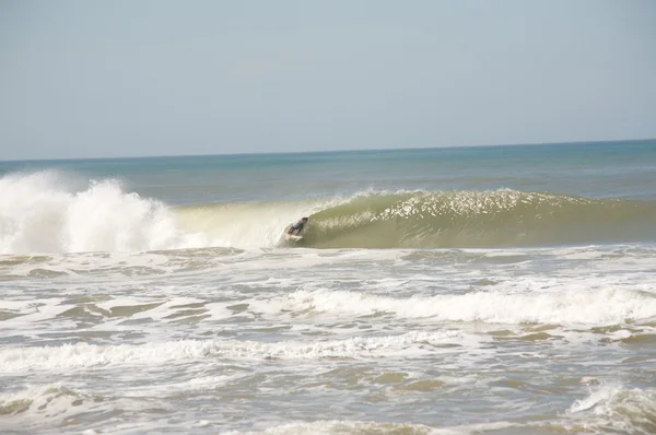Lufa surfingu — Zdjęcie stockowe