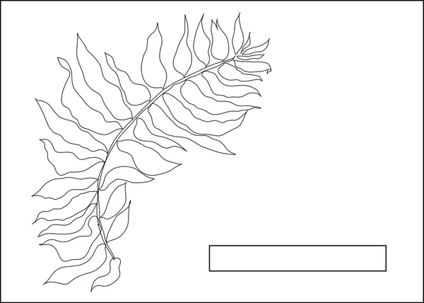 Векторная карта оливковой ветви — стоковый вектор
