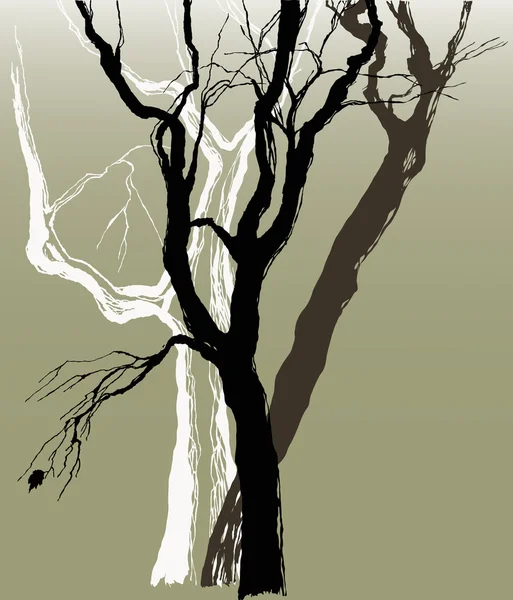 Pohon tua - Stok Vektor