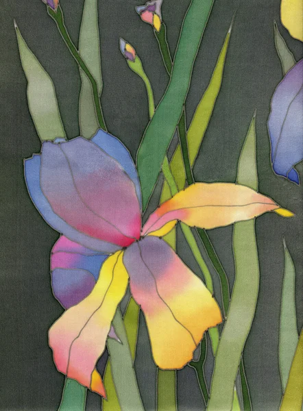 Iris arka plan — Stok fotoğraf