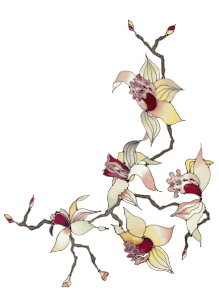 Orchideenzweig — Stockfoto