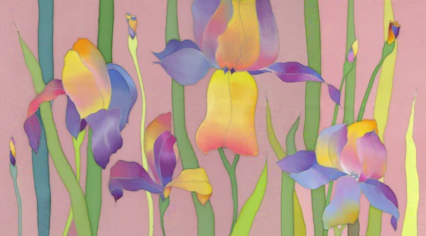 Iris på rosa bakgrund — Stockfoto