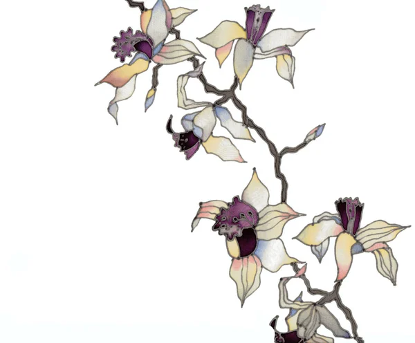 Orchidea ág elszigetelt — Stock Fotó