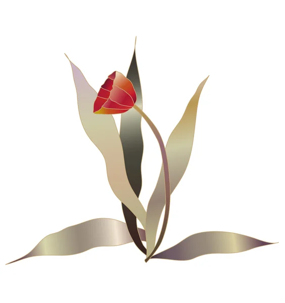 Red tulip vektor 1 - Stok Vektor