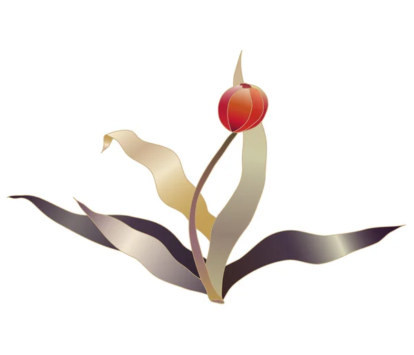 Red tulip flower vector sketch — Stock Vector