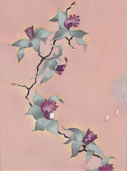 Orquídea em fundo rosa — Fotografia de Stock