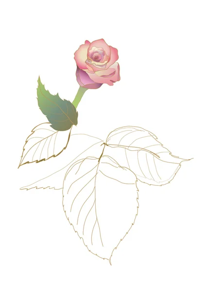 Rose vectorielle — Image vectorielle