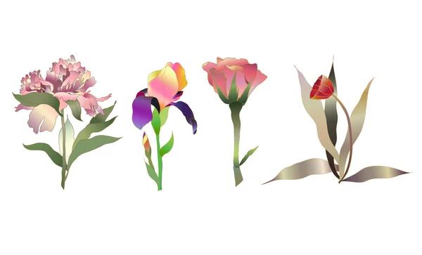 Ensemble de fleurs — Image vectorielle