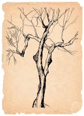 Old tree shabby paper pencil drawing clipart